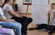 Warsztaty na temat bezpiecznego kontaktu z psem - relacje